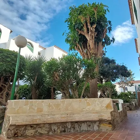 South Tenerife 2 Bedrooms With Sunny Terrace And Amazing Views To Teide And Pool * 코스타델실렌시오